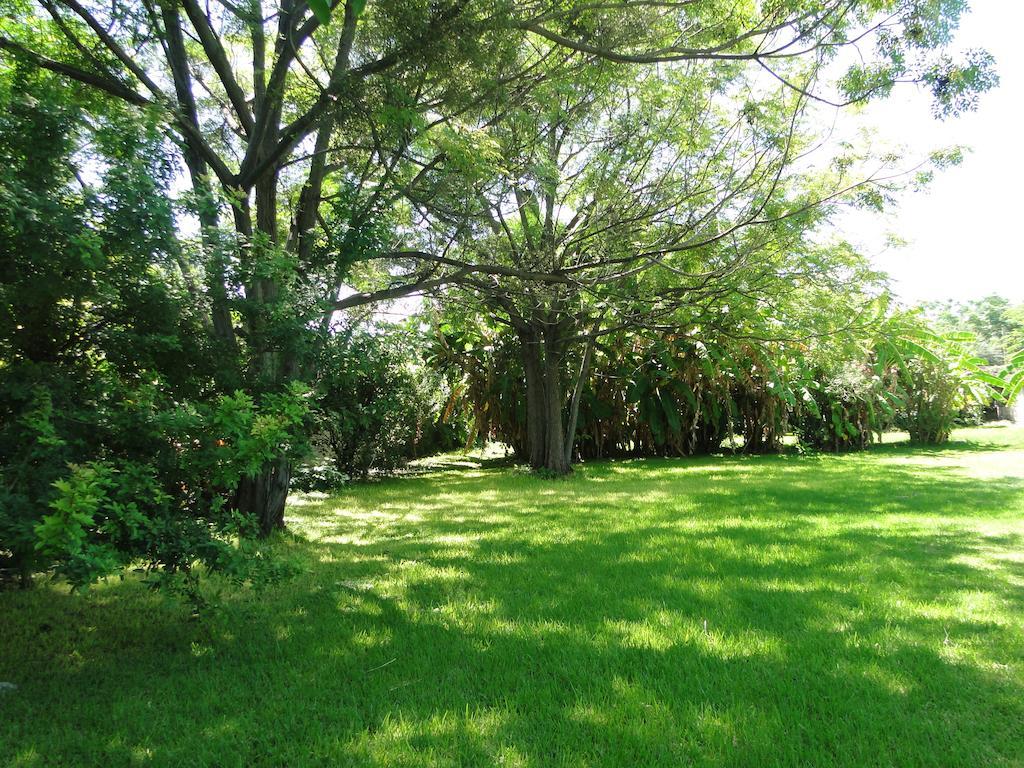 Río Verde El Molino Hotel Boutique מראה חיצוני תמונה